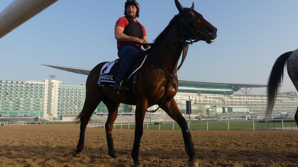 Pictured at Meydan in March, Berneuil is likely to be given a July Cup entry
