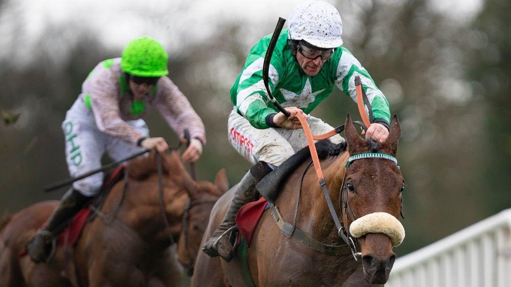 Presenting Percy: on course for the Savills Chase at Leopardstown