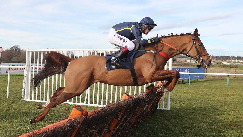 INGLEBY HOLLOW and Richard Johnson win at Sedgefield 21/2/19Photograph by Grossick Racing Photography 0771 046 172