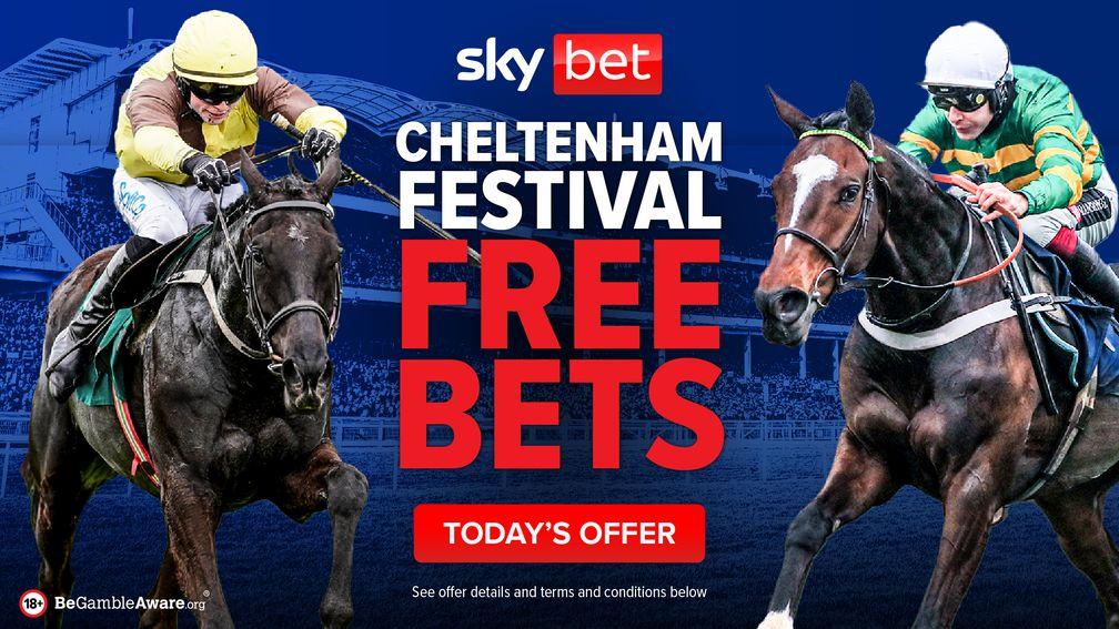 Sky Bet Cheltenham Free Bets 