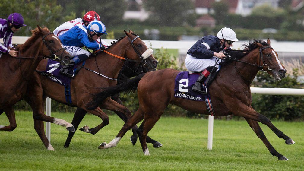 Federal makes an impressive debut at Leopardstown for the Joseph O'Brien team in July