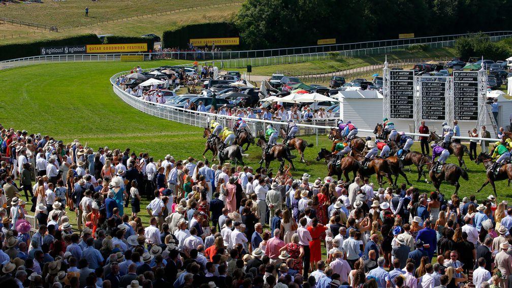 Packed crowds at Goodwood watch Gifted Master win the Stewards Cup