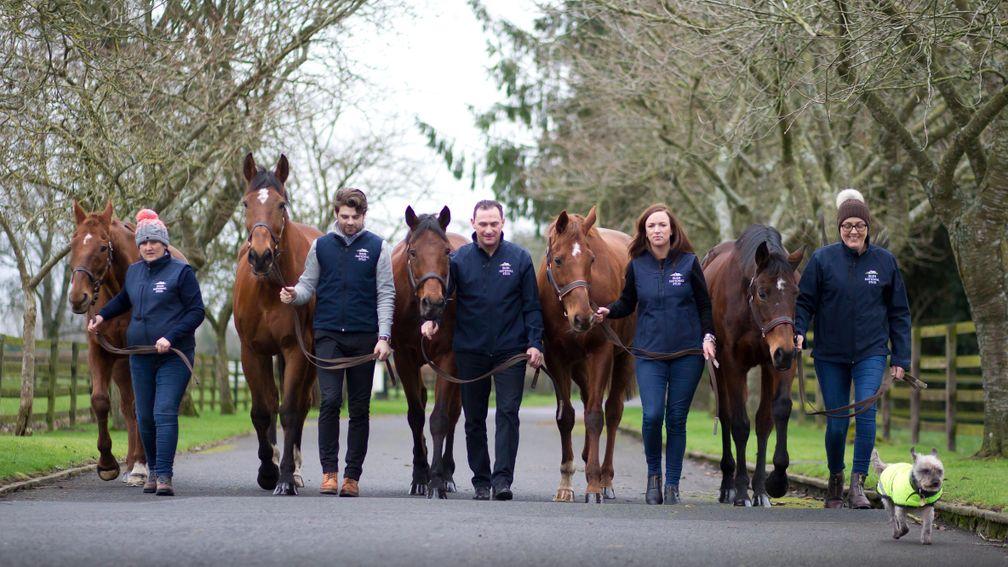 Beef Or Salmon, Kicking King, Hardy Eustace, Rite Of Passage and Hurricane Fly at the Irish National Stud