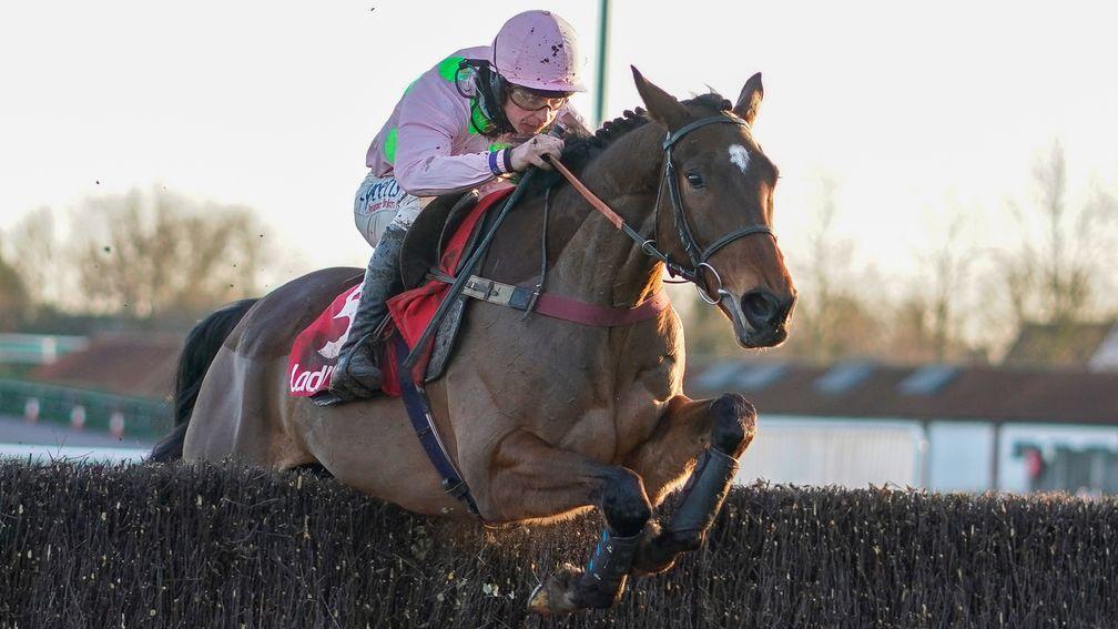 Royale Pagaille: won't run in the Betfair Chase