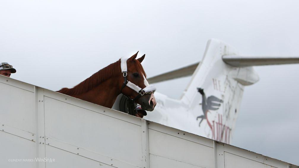 First-class passenger: Justify descends from the plane that brought him to Kentucky