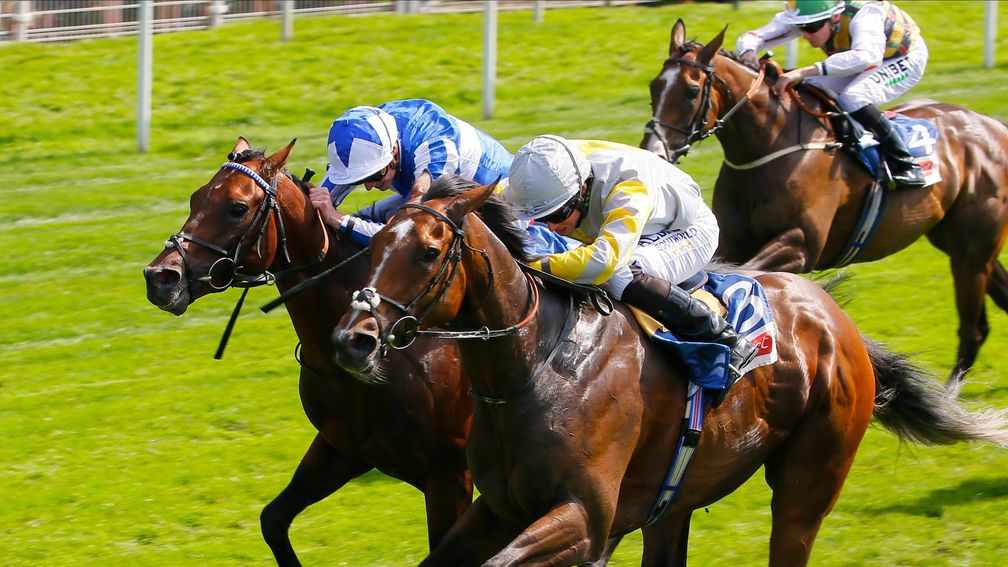 Zaaki (right): narrowly denies Bangkok in the Group 3 Strensall Stakes