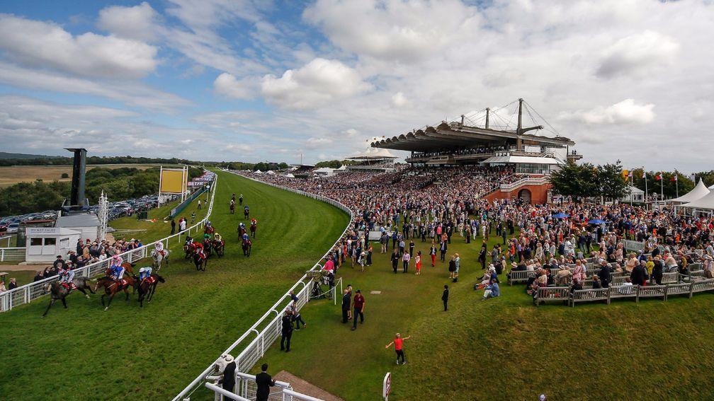 Glorious setting: Goodwood hosts it final meeting of the year on Sunday