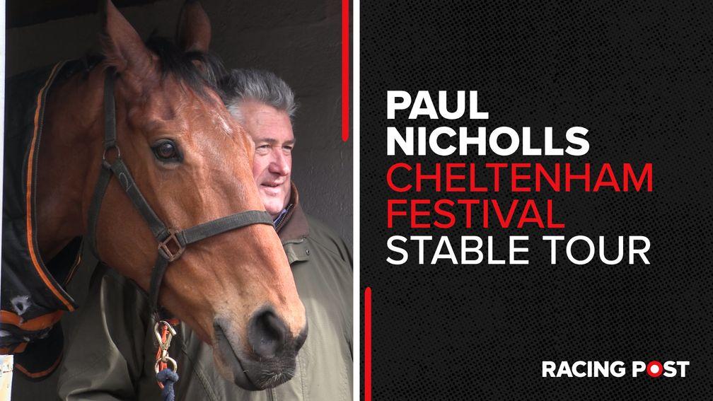 Watch: 2023 Cheltenham Festival stable tour with champion trainer Paul Nicholls
