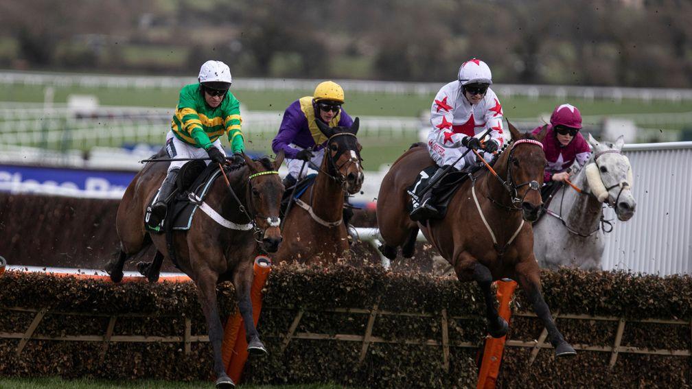 Darver Star (white with red stars) is joined by Epatante at the last in the Unibet Champion Hurdle