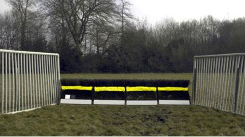 The new proposed hurdles would be coloured fluorescent yellow and white