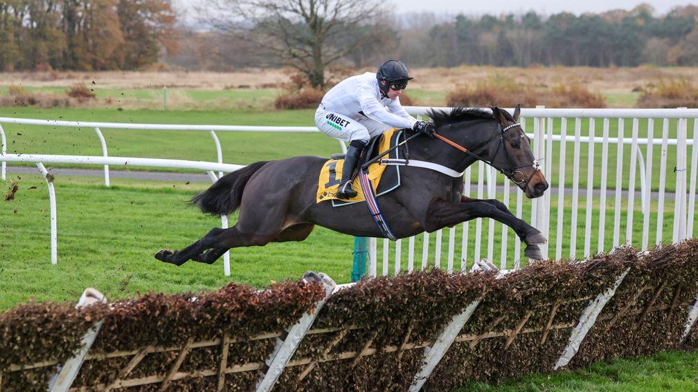 Constitution Hill: big step up on his first run outside novice company