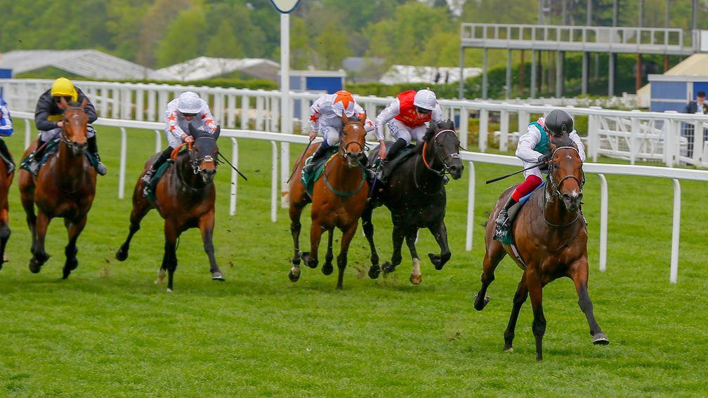 Calyx winning the Pavilion Stakes at Ascot