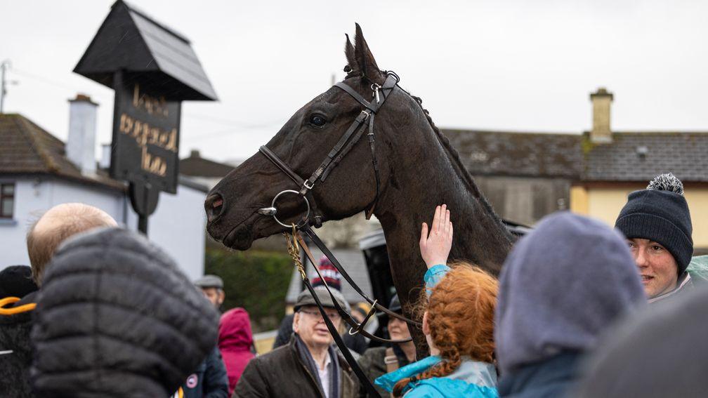 Galopin Des Champs stands proudly above the faces on his return home to Closutton