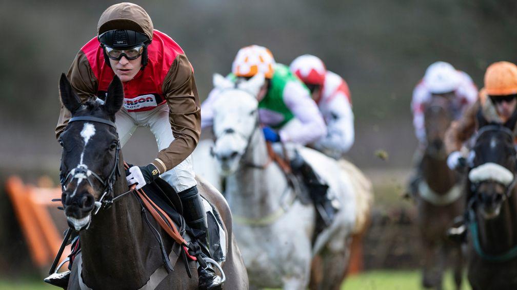 Cat Tiger and David Maxwell will head to the Fulke Walwyn Kim Muir Chase for amateur riders at Cheltenham