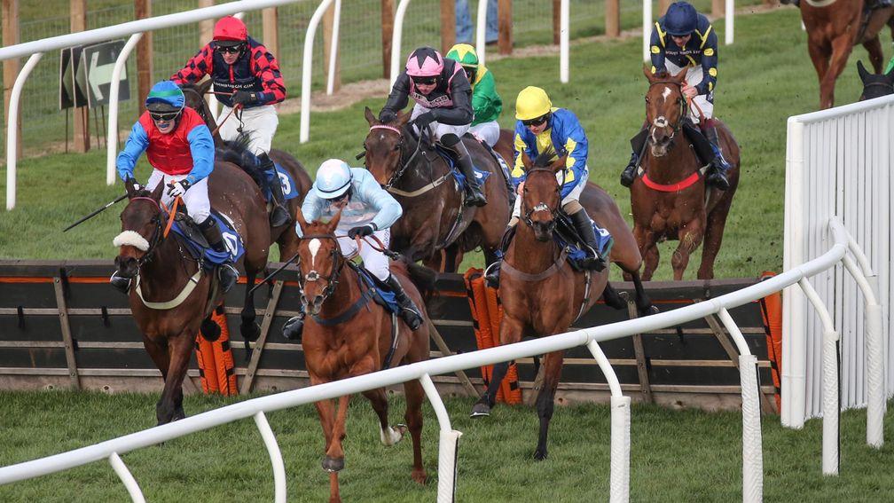 Winston C (Sean Bowen, yellow cap) is only third at the last but gets up to beat Champagne City (light blue) by a nose