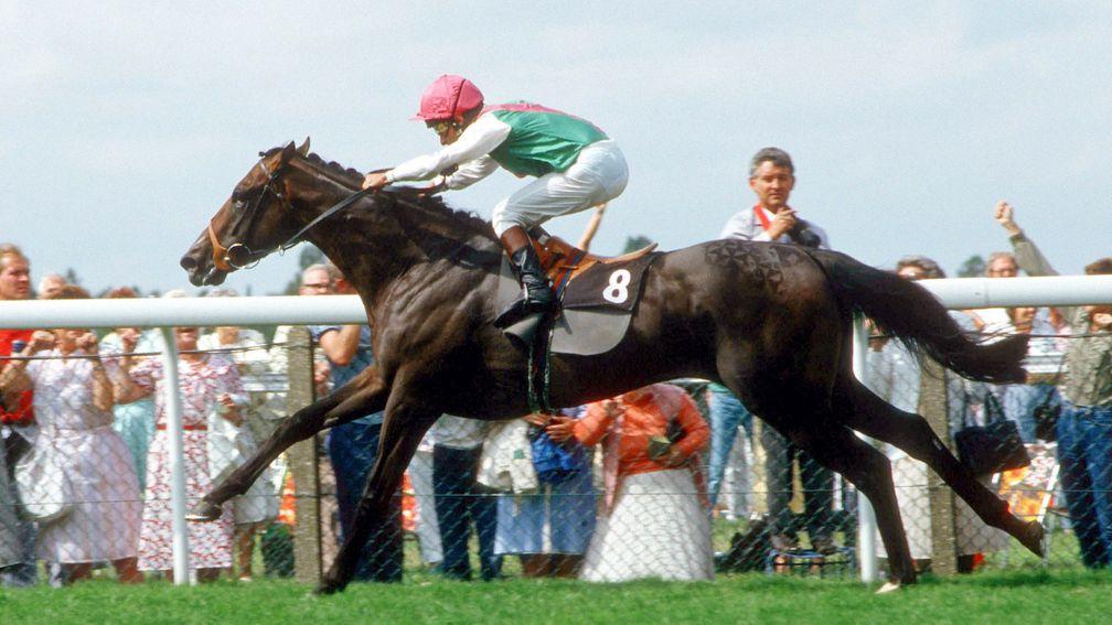 Dancing Brave en route to winning the King George and Queen Elizabeth Stakes. He would cap his three-year-old season with victory in the Prix de l'Arc de Triomphe