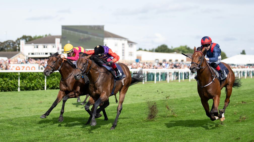 Twilight Jet (right): was third in the Champagne Stakes (pictured) and a creditable fifth in the Middle Park