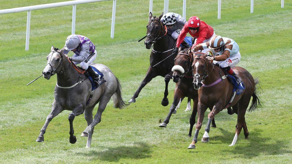 Havana Grey powers clear of Mabs Cross (red) and Caspian Prince (brown and blue) in the Group 2 Sapphire Stakes
