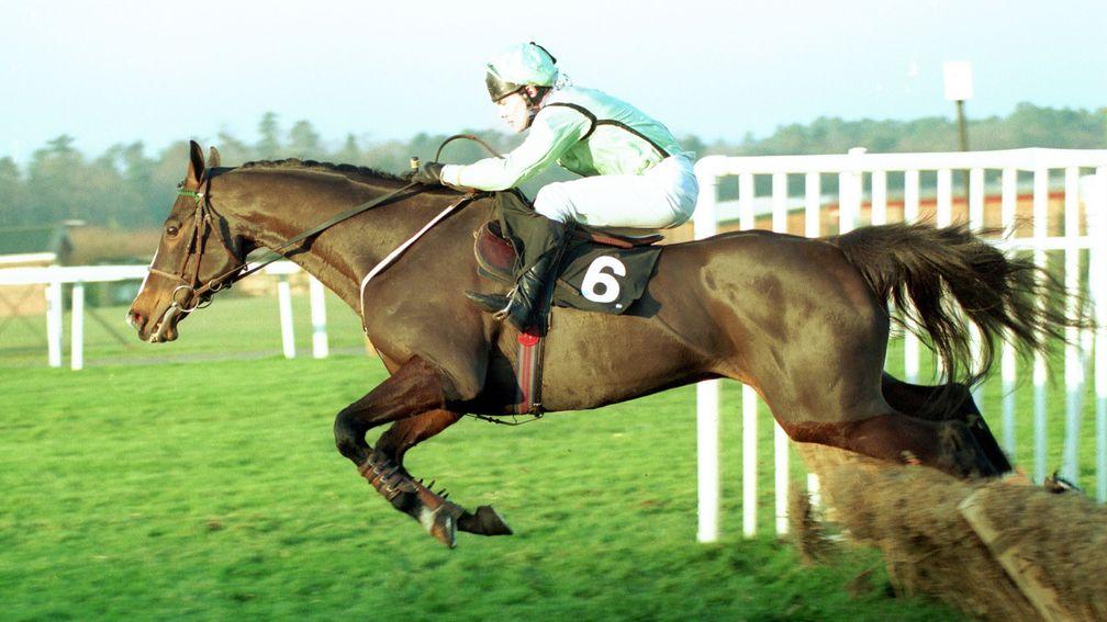 When he won the Tote Gold Trophy under Adrian Maguire, King Credo was trainer Steve Woodman's only winner of the entire 1992-93 season