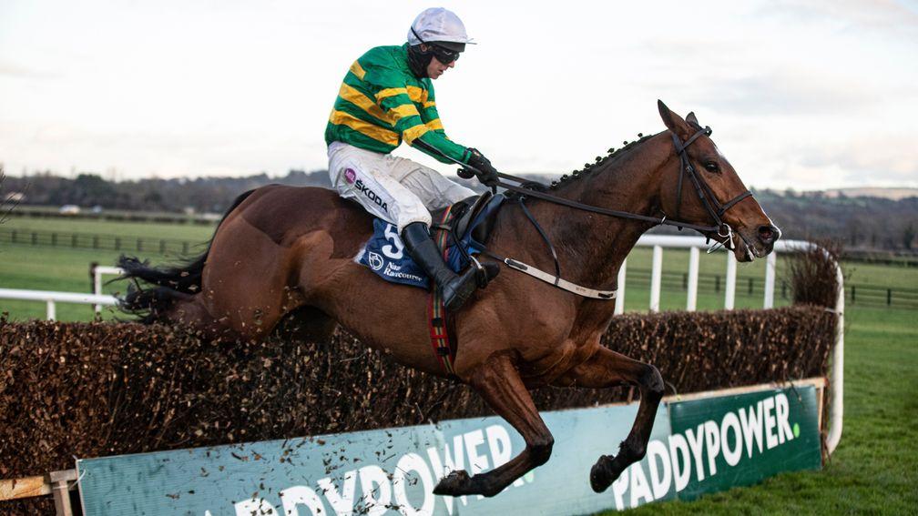 Janidil: impressed when making a winning debut over fences at Naas