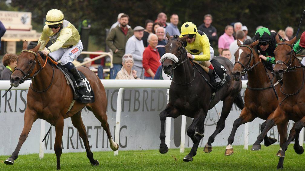 Romantic Time claims Group race glory at Salisbury in September