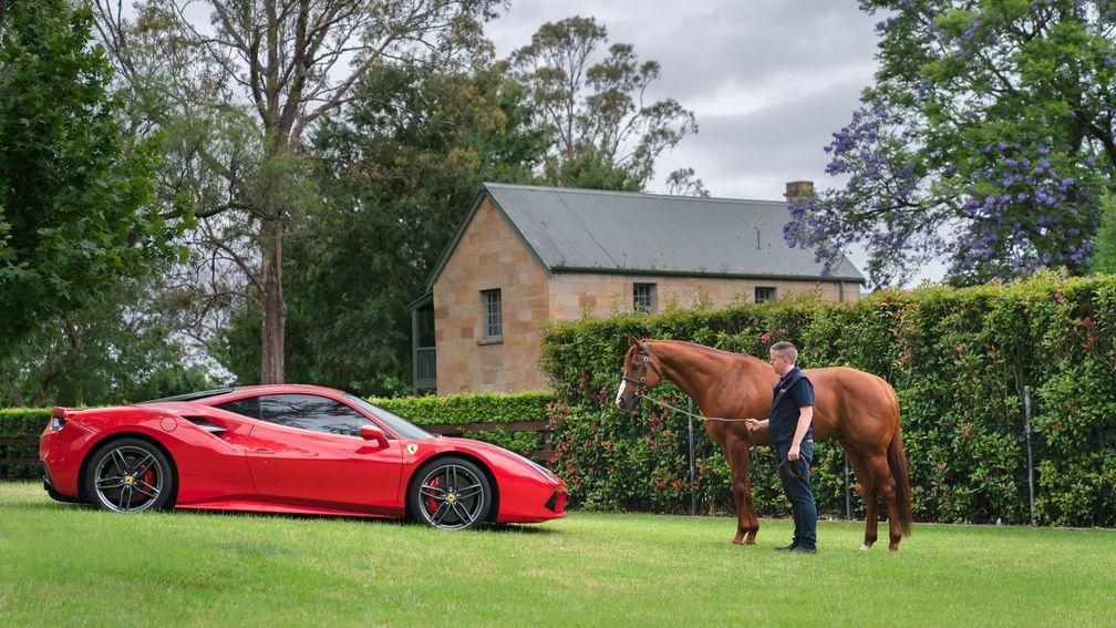 Two pretty stunning examples of horse power - a Ferrari and undefeated US Triple Crown hero Justify
