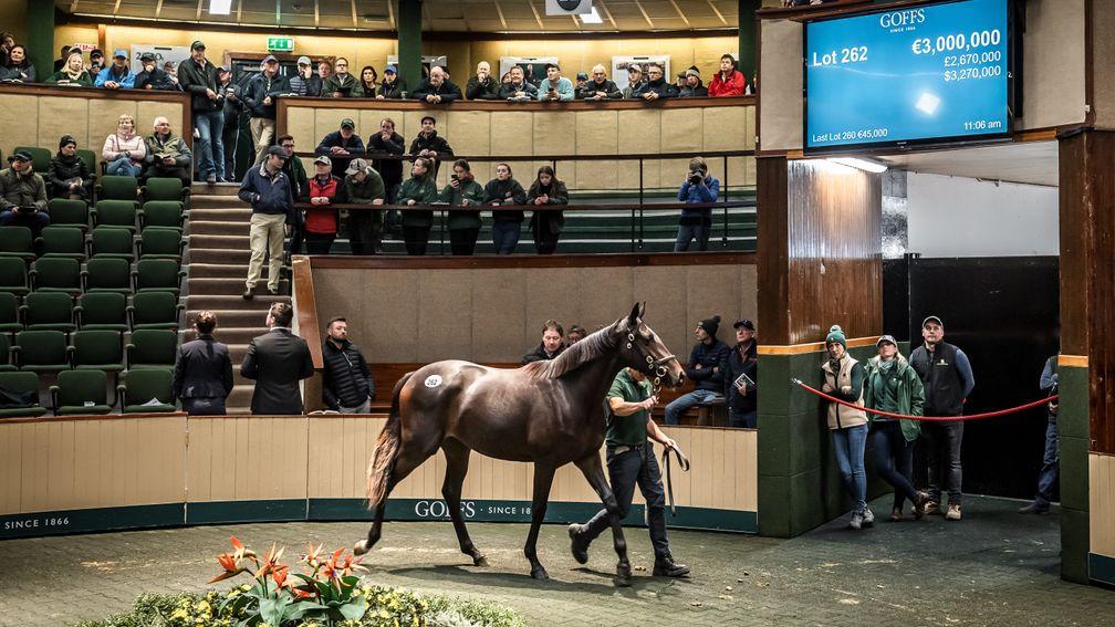 The €3 million Galileo filly who topped Orby 2019