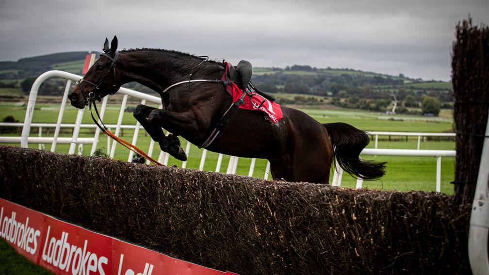 Ballyadam jumps the second fence loose after falling at first obstacle
