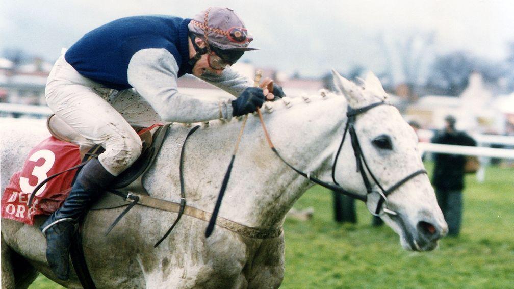 No2 Desert Orchid on his way to victory in the 1990 King George VI chase at Kempton Park 26th December 1990Owner Richard Burridge Trainer David Elsworth Jockeys Colin Brown, Simon Sherwood, Richard Dunwoody Record (jumps) 34 wins from 71 startsCareer high