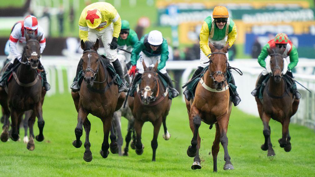 Protektorat (red and yellow cap): set for bigger targets after promising second in the Paddy Power Gold Cup