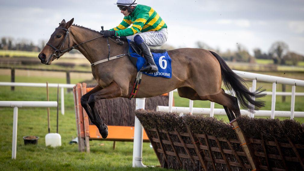 Zenta: Grade 3 winner and Triumph Hurdle third is a promising performer for the late Pastorius