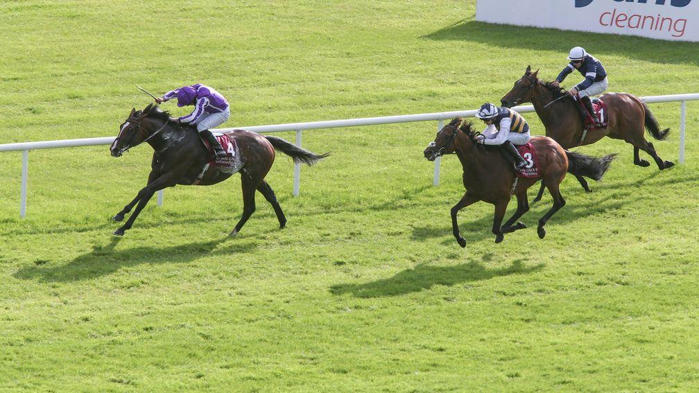 Southern France: winner of the St Leger Trial