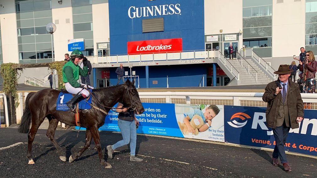 Impulsive Dancer: created a good impression when winning on first start for Willie Mullins