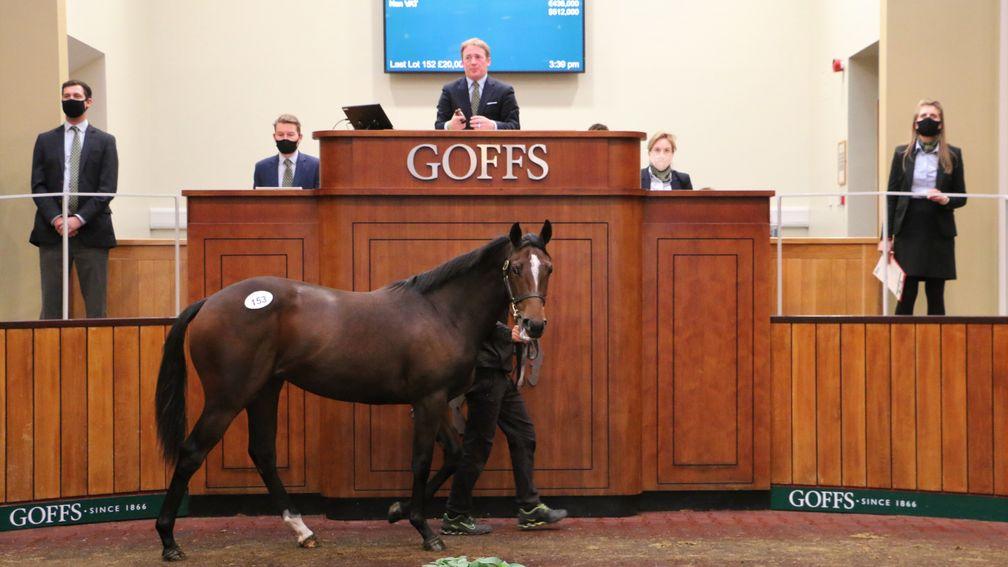 Lot 153: the Dark Angel filly was signed for by CBR Bloodstock at £400,000