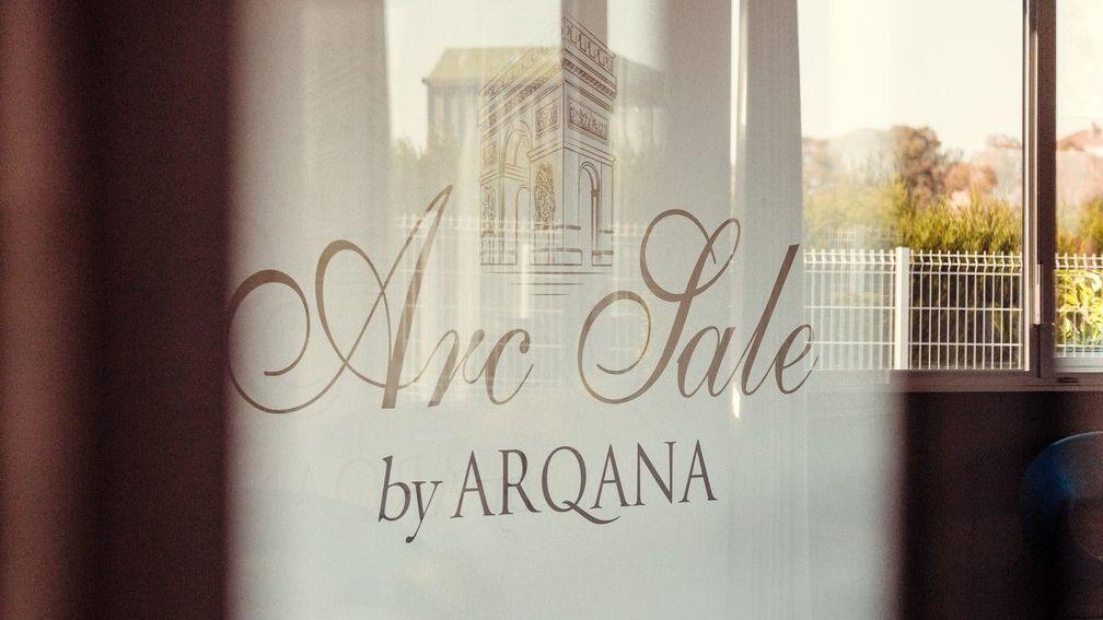 The Arqana Arc Sale has attracted around 50 entries