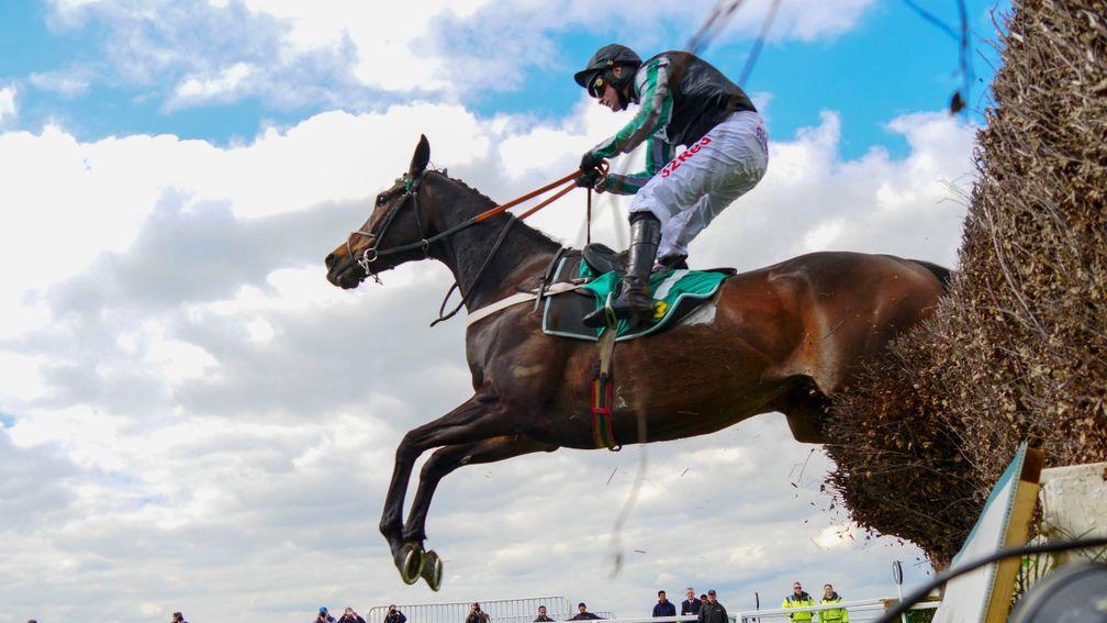 Altior, on the way to victory in the Celebration Chase at Sandown on Saturday, may soar as high as Sprinter Sacre