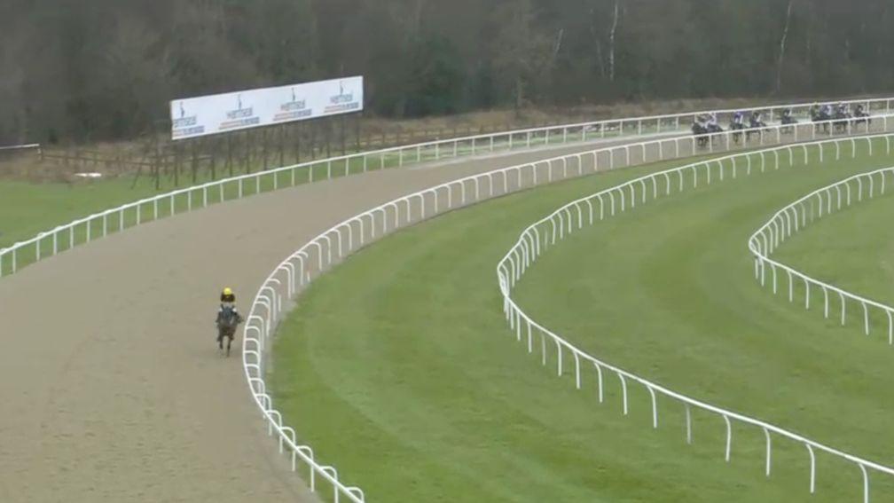 Tabou Beach Boy leads a very distant chase