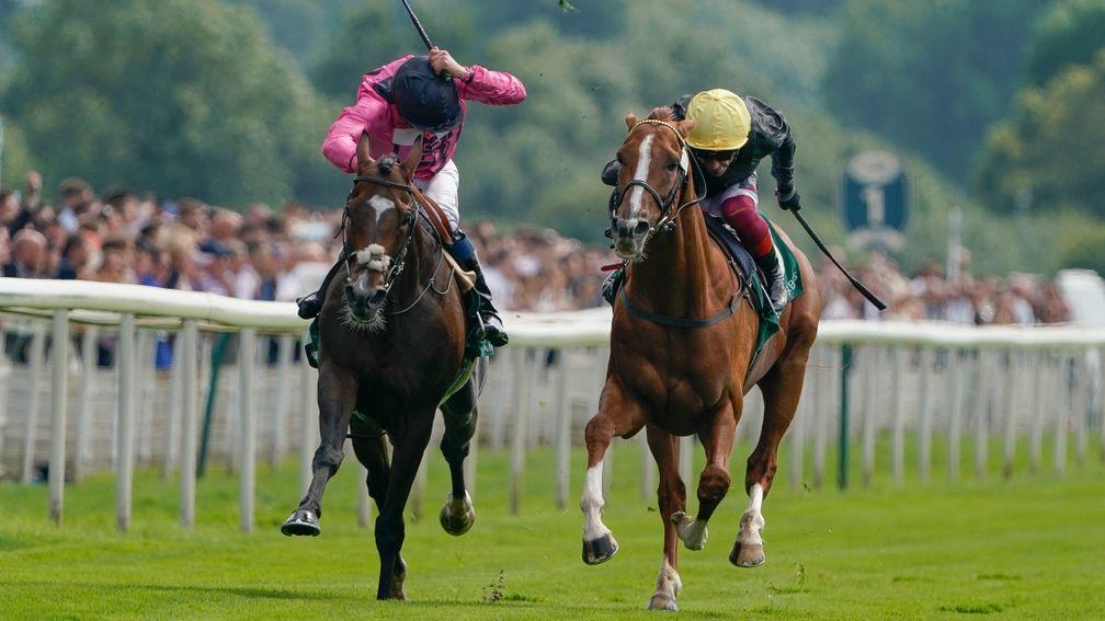 Stradivarius (right) beats Spanish Mission in a ding-dong finish to the Lonsdale Cup