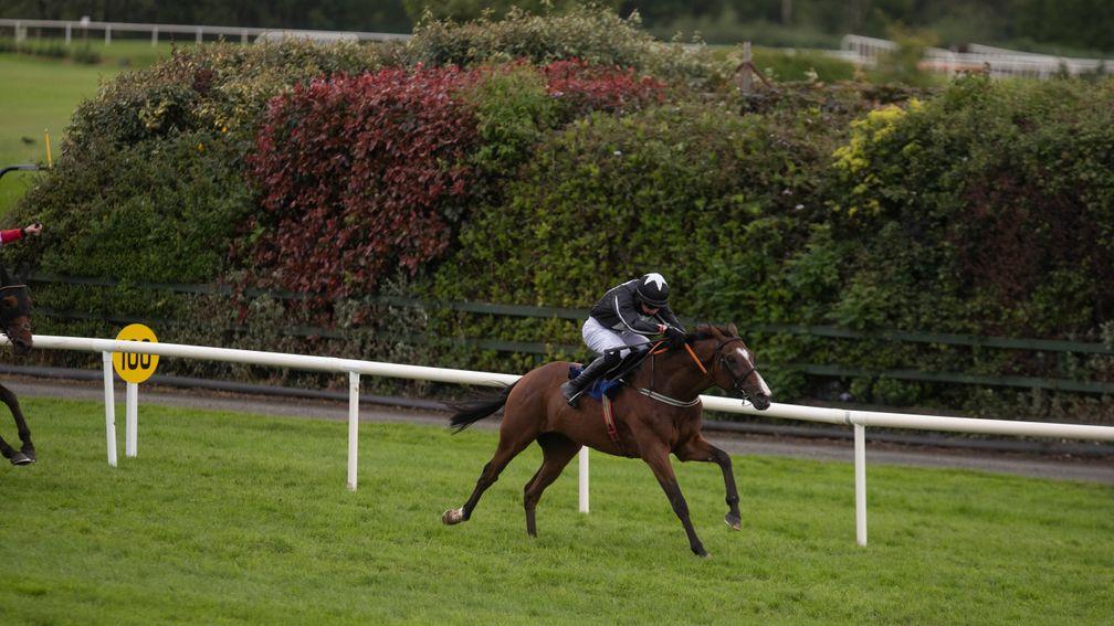 Wonder Laish: back on track when winning on the Flat at Killarney five weeks ago
