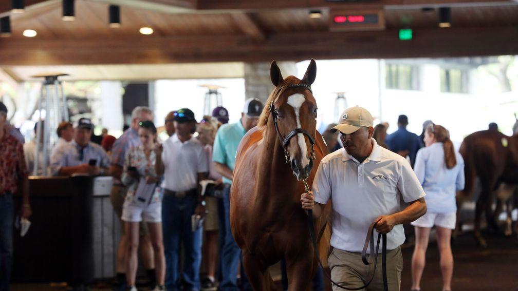 The record-breaking trade continued at Keeneland on Friday