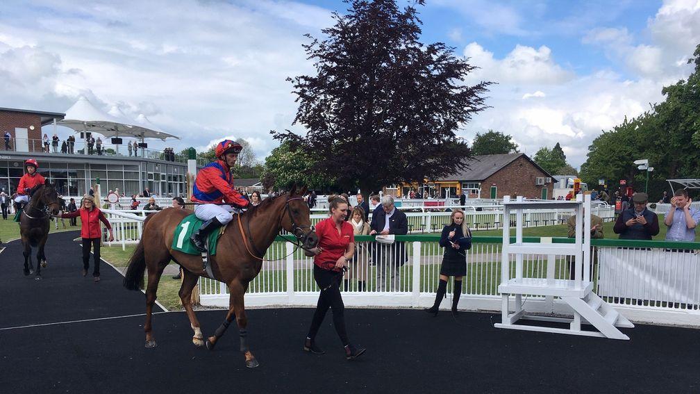 Duke Of Firenze returns to the winner's enclosure for the first time in two years