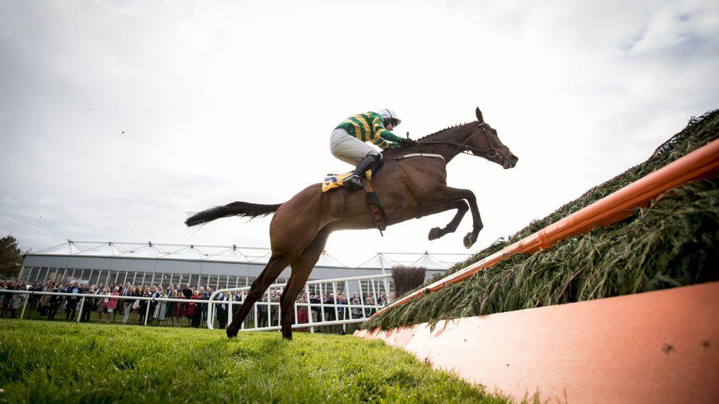 Great Field puts in a mighty leap in the Ryanair Novice Chase