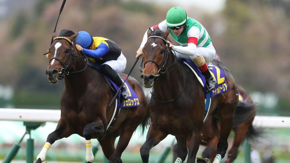 Saturnalia wins the Japanese 2,000 Guineas under Christophe Lemaire