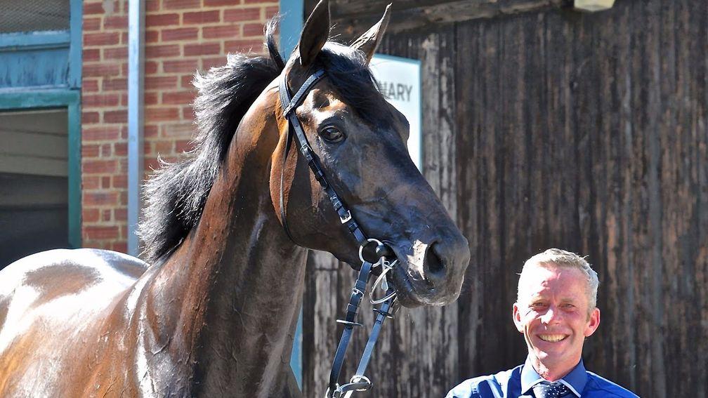 Michael Curran: popular work-rider of the 2015 European Horse of the Year Golden Horn