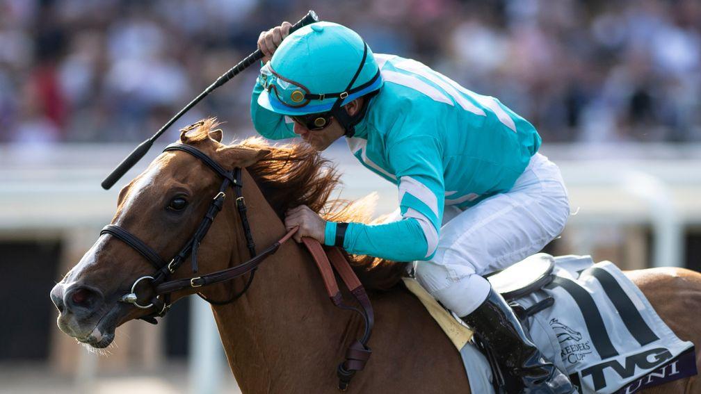 Uni, a daughter of More Than Ready and Unaided, wins the Breeders' Cup Mile