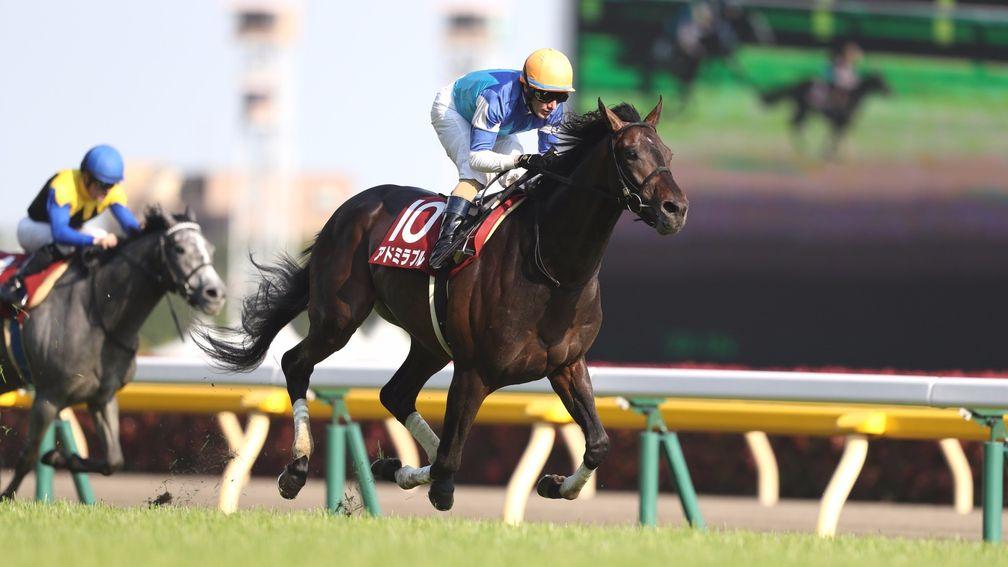 Admirable (Mirco Demuro) wins the Grade 2 Aoba Sho, the Japanese Derby Trial at Tokyo racecourse