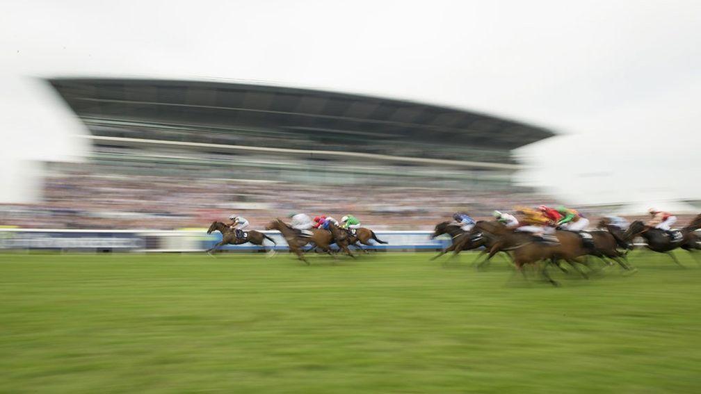 Runners and riders in the 2016 Epsom Dash flash past the grandstand