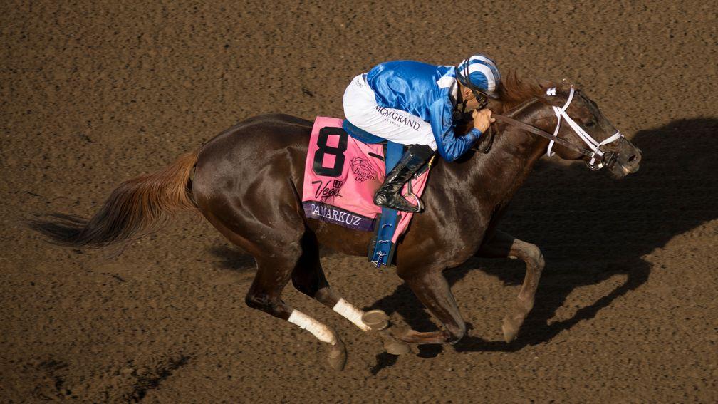 Tamarkuz strides home in the 2016 Breeders' Cup Dirt Mile