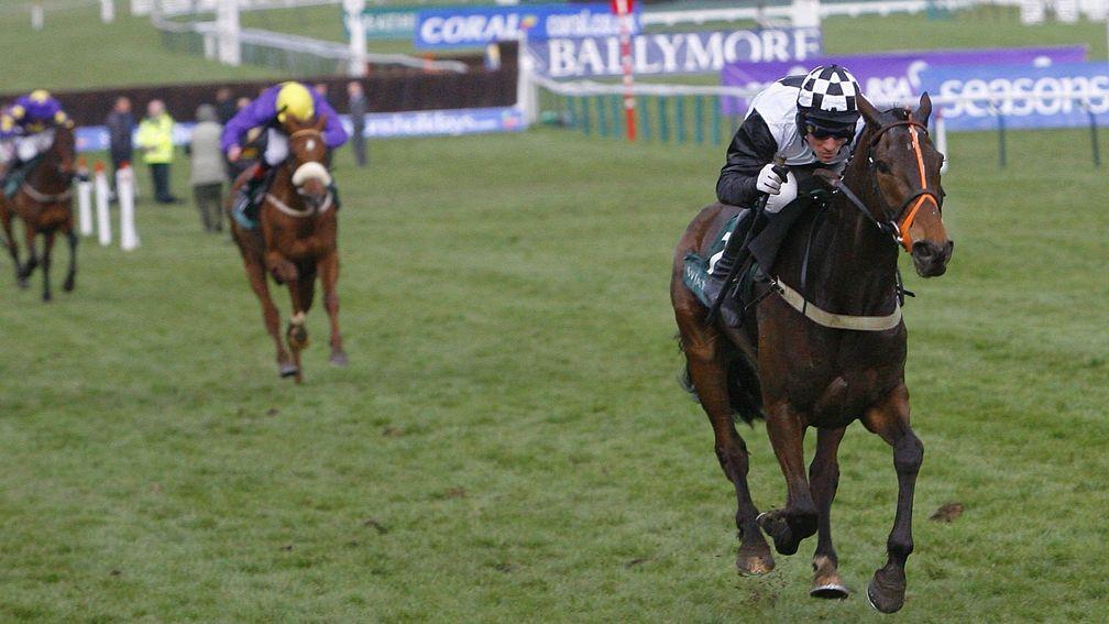 Dunguib: an impressive winner of the 2009 Champion Bumper under O'Connell