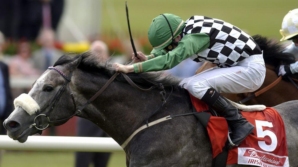 Grey Swallow and Pat Smullen give Weld the second of his three Irish Derby victories in 2004